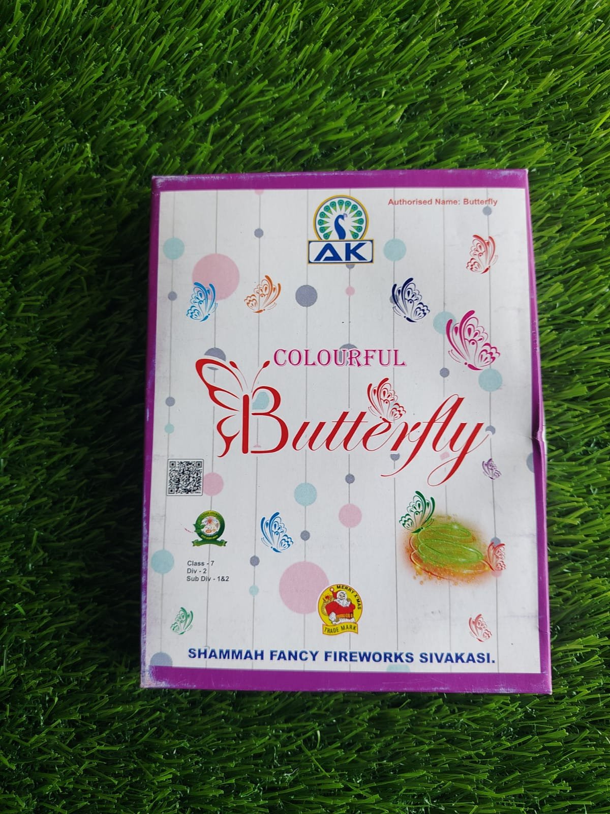 COLOURFUL BUTTERFLY (10 Pieces)