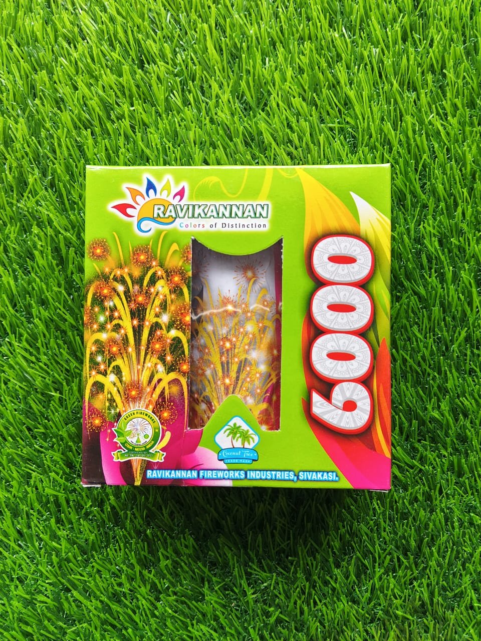 6000
