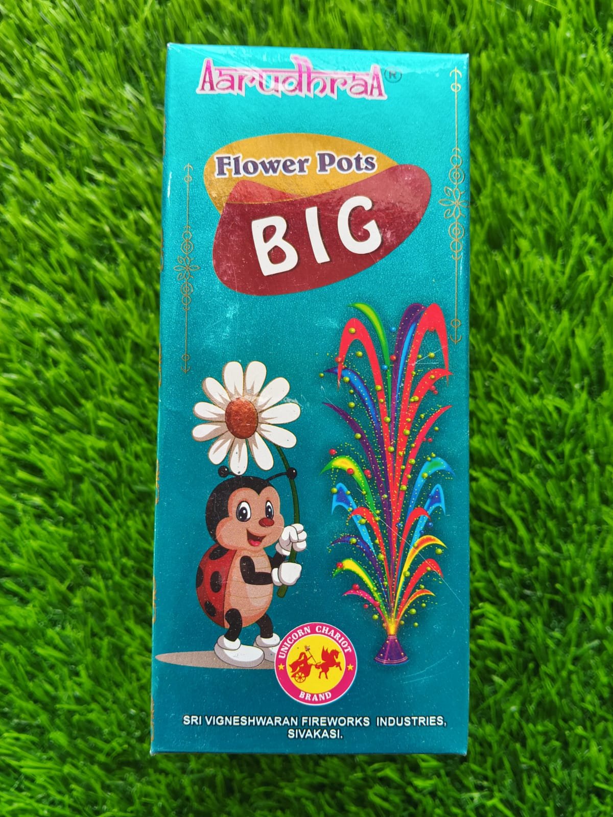 FLOWER POTS BIG(10 Piece)